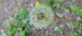 Enlarge photo 131
