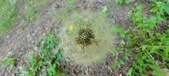 Enlarge photo 125