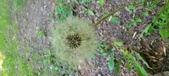 Enlarge photo 121
