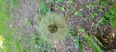 Enlarge photo 122