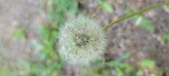 Enlarge photo 123