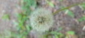 Enlarge photo 124
