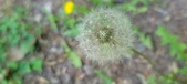 Enlarge photo 120