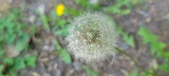 Enlarge photo 119