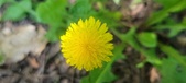 Enlarge photo 118