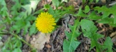 Enlarge photo 117