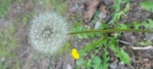 Enlarge photo 116