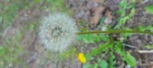 Enlarge photo 115