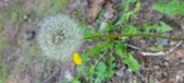 Enlarge photo 114