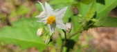 Enlarge photo 113