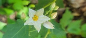 Enlarge photo 112