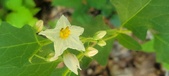 Enlarge photo 111