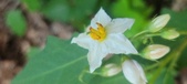 Enlarge photo 109