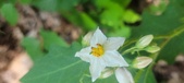 Enlarge photo 106