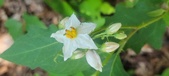 Enlarge photo 107