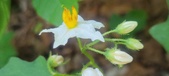 Enlarge photo 108