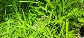 Enlarge photo 96