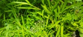 Enlarge photo 95