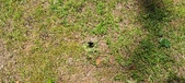 Enlarge photo 93