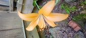 Enlarge photo 49