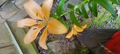 Enlarge photo 47