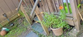 Enlarge photo 55