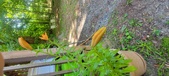 Enlarge photo 60