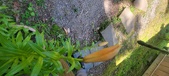 Enlarge photo 64
