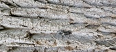 Enlarge photo 86
