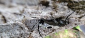Enlarge photo 84