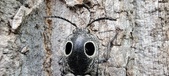 Enlarge photo 78
