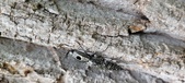 Enlarge photo 74