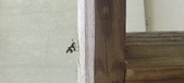 Enlarge photo 43