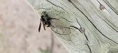 Enlarge photo 38