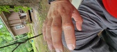Enlarge photo 23