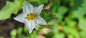 Enlarge photo 327