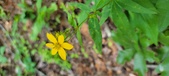 Enlarge photo 342