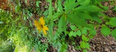 Enlarge photo 347