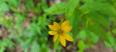 Enlarge photo 349