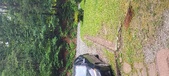 Enlarge photo 358