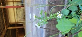 Enlarge photo 48