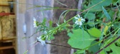 Enlarge photo 49