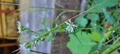 Enlarge photo 81