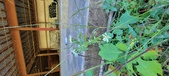 Enlarge photo 51
