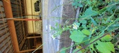 Enlarge photo 52