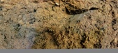 Enlarge photo 64