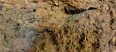 Enlarge photo 66