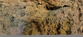Enlarge photo 103