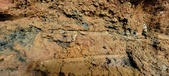 Enlarge photo 67