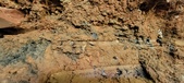 Enlarge photo 68